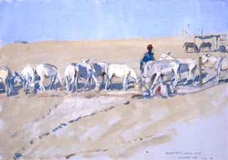 Allenby's White Mice: Feeding the Pack Donkeys: Desert Corps HQ