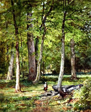 Forest Scene with Child