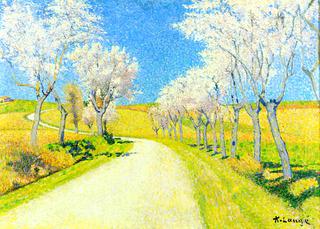 Road with Flowering Almond Trees