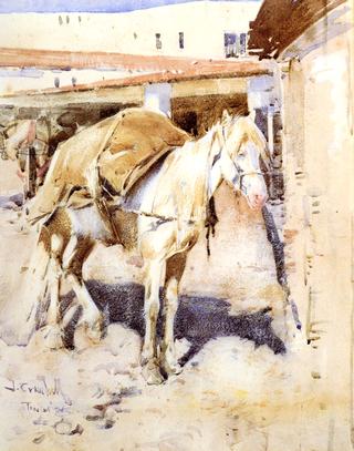 A Moorish Packhorse