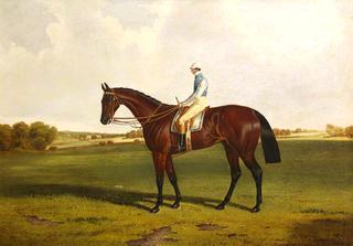 Bloomsbury with S. Templeman Up, in the Colours of the Owner and Trainer, W. Ridsdale