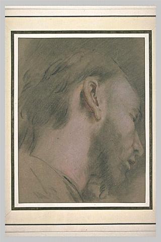 Study of a Bearded Man, head Facing Right