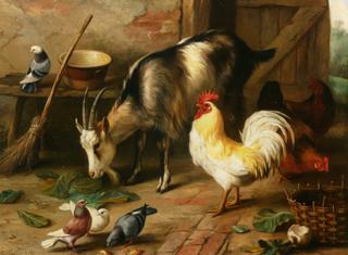 A Goat, Chicken and Doves in a Stable