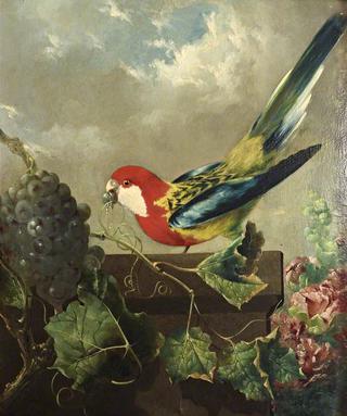 Parakeet with Grapes and Hollyhocks