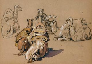 Five Camels, Marrakesh (Cinq dromadaires), Marrakech