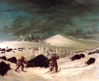 雪地野牛狩猎