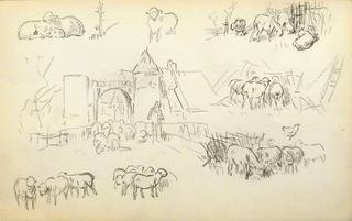 Study of sheeps and shepherds