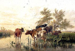 Cattle in a Water Meadow