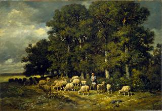 Sheep at the Entrance to a Forest