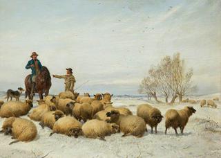 雪和羊