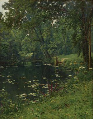 A Woodland Pond