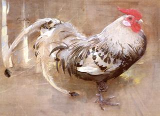 The Spangled Cock
