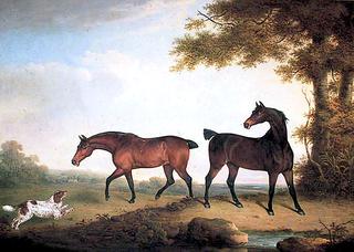两只栗色的马和一只热切的猎犬