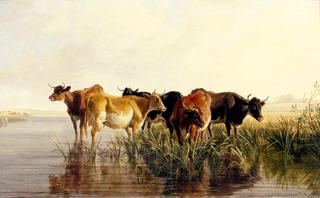 牛群与风景
