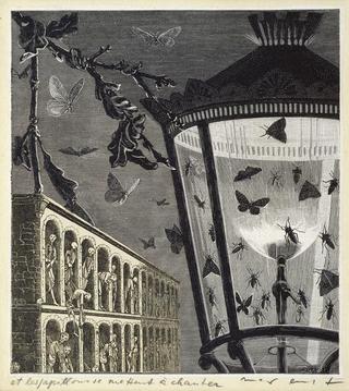 而蝴蝶开始唱歌~插图为「女人100头」（巴黎，1929年）