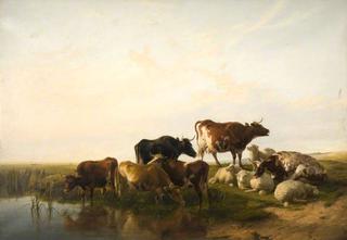 牛羊景观