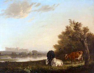 温莎城堡的远景，河边有奶牛