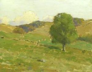 Landscape near Newport