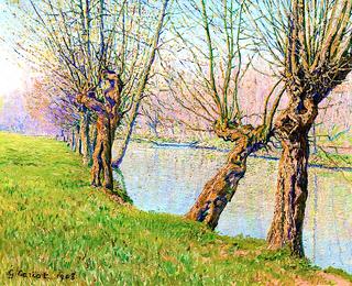 Willows on the Banks of a River