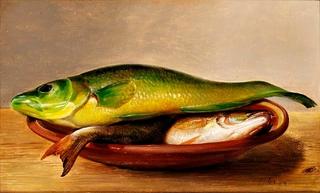 Colorful fish on a dish (study)
