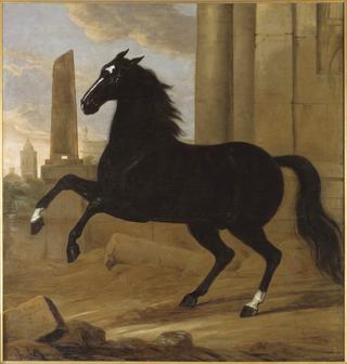 宠儿，卡尔十一世国王的一匹骑马