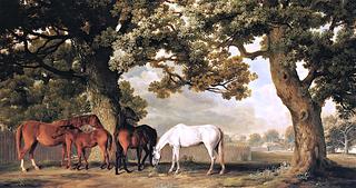 Mares and Foals Belonging to Lord Grosvenor at Eaton Hall