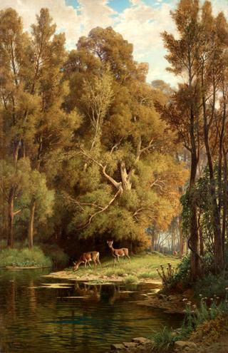 Scene in the forest with deers