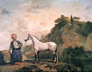 The Duke of Ancaster's Grey Turkish Horse with a Turkish Groom at Creswell Crags