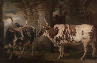 Two Extraordinary Oxen, the Property of the Earl of Powis