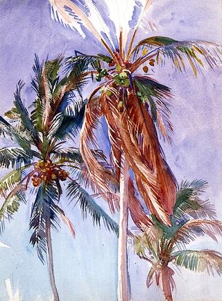 Study of Palms, Florida