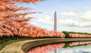 Cherry Blossoms along the Tidal Basin, Washington, D.C.