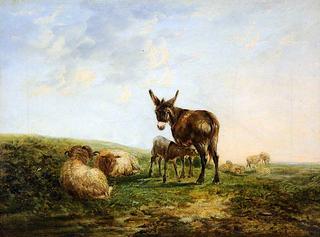 驴和羊