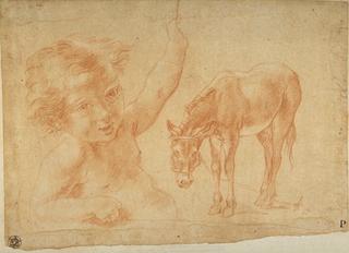 Studies of a Child and a Donkey