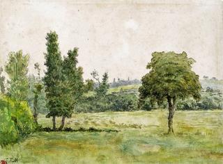 Meadow with Trees
