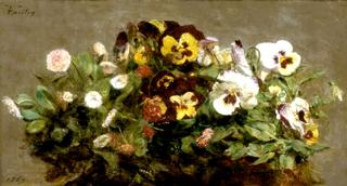 Pansies and Daises