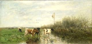 潮湿草地上的奶牛
