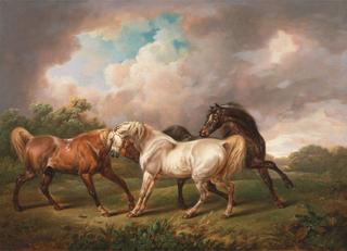 狂风暴雨中的三匹马