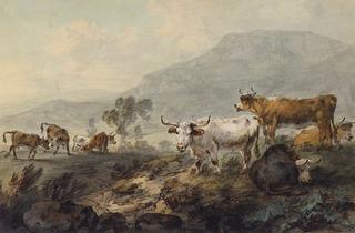 Cattle on an Upland