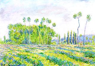 Giverny, Poplars on the Ajoux Plains