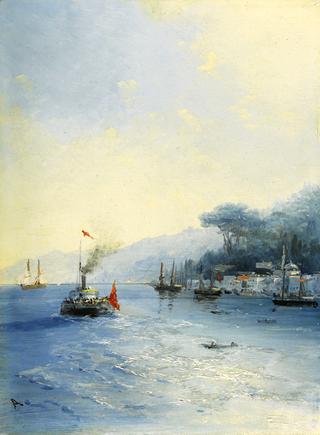 Fleet on the Bosphorus