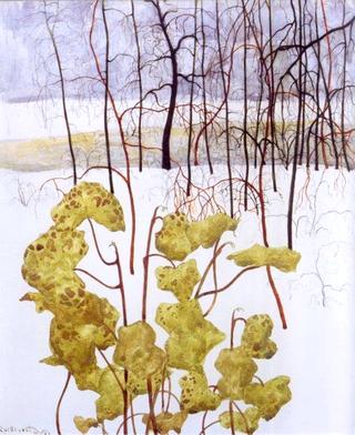 Winter landscape with ivy