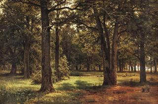 The Oak Grove of Peter the Great
