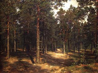 Path in the Pine Forest