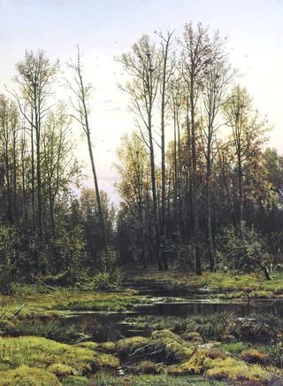 Forest in Spring