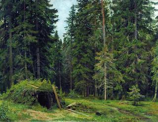 A Forest Hut