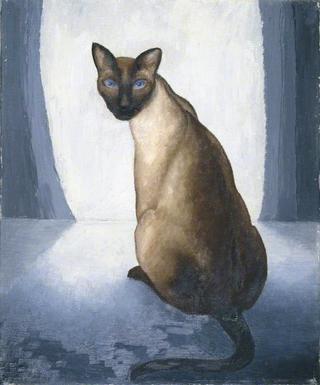 猫的肖像