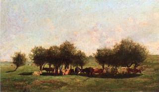 Cattle in a Pasture