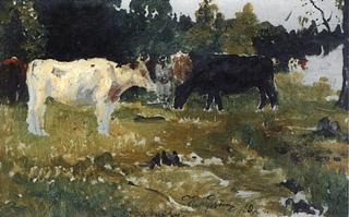 Cows on a Pasture (study)