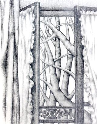 Study of Branches