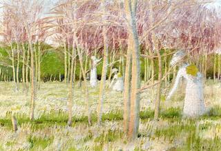 The Woods with Jonquils